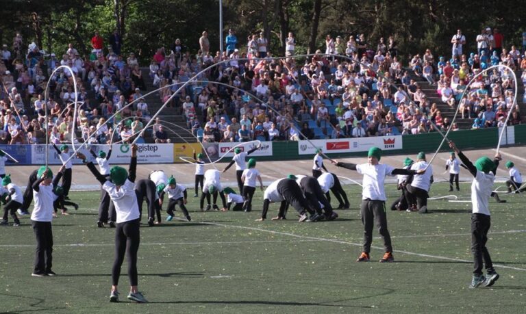 Avalik konkurss 2019 a. XX Tallinna võimlemispeo kunstiliseks teostamiseks