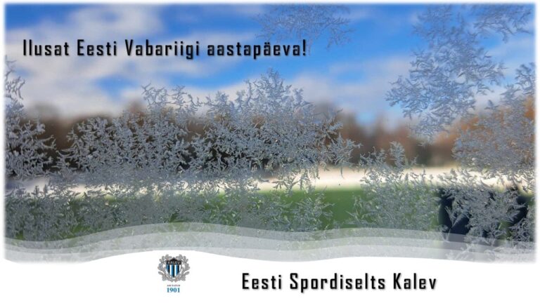 Ilusat Eesti Vabariigi aastapäeva!
