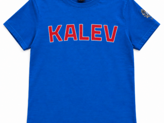 Kalevi särk